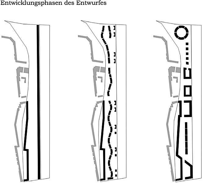 Entwicklungsphasen